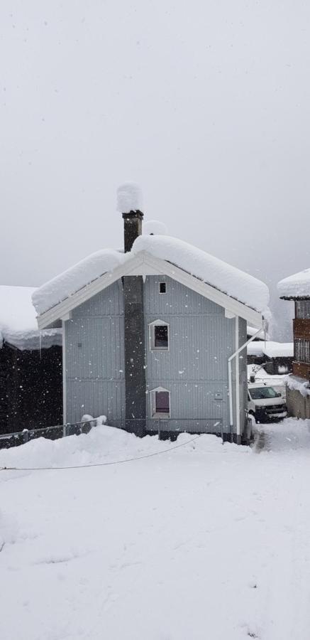 Casa Cuschina - Mit Sauna In Der Schoenen Surselva Dardin エクステリア 写真