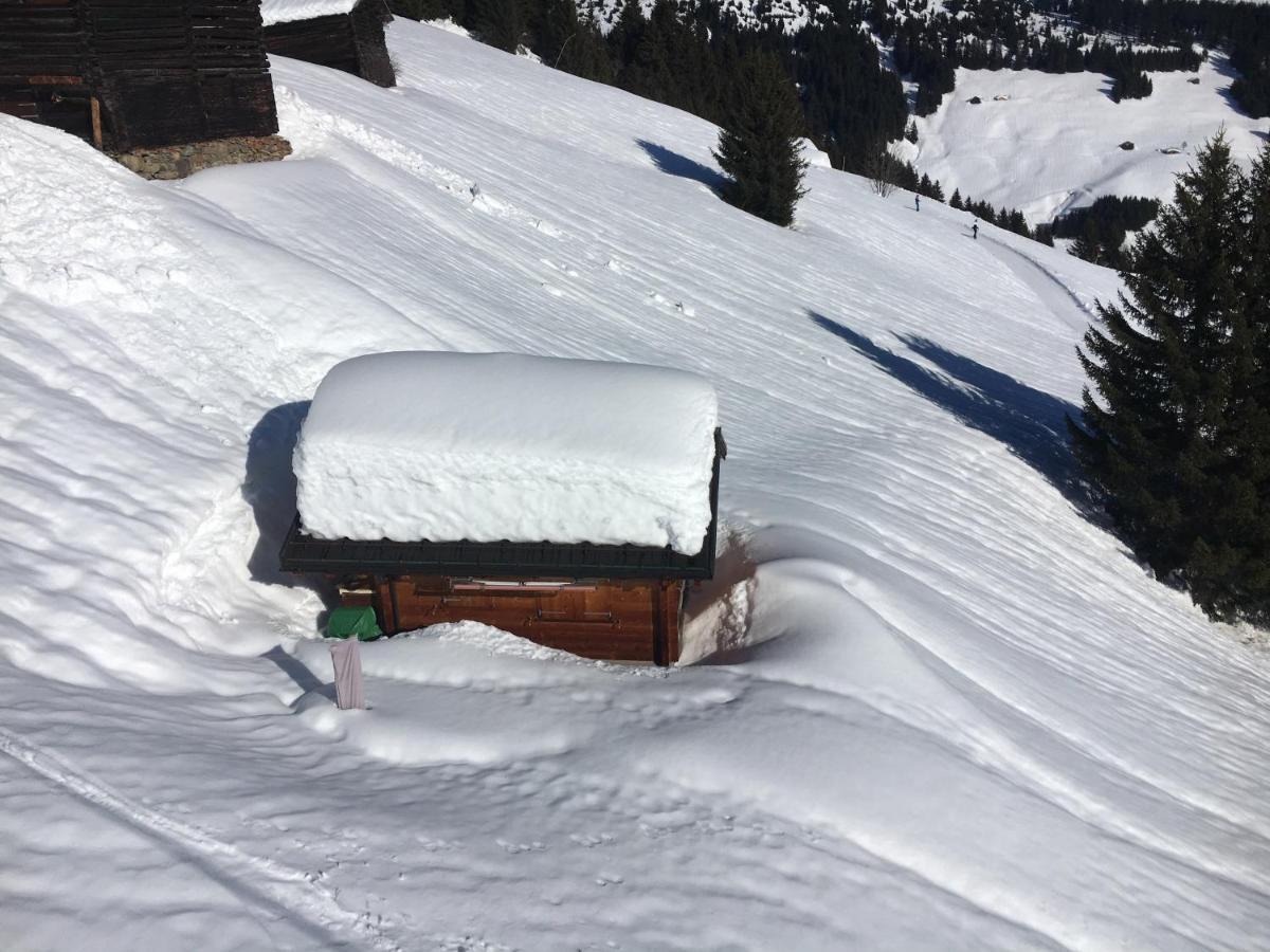 Casa Cuschina - Mit Sauna In Der Schoenen Surselva Dardin エクステリア 写真